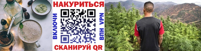 Купить закладки  Ковылкино  Cannafood конопля 