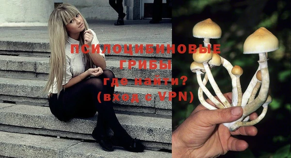каннабис Корсаков