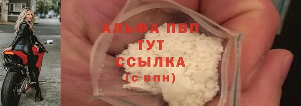 каннабис Корсаков