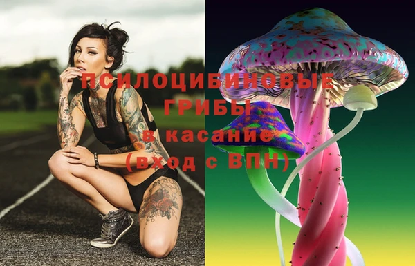 прущая мука Козельск