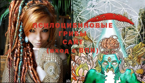 стафф Козловка