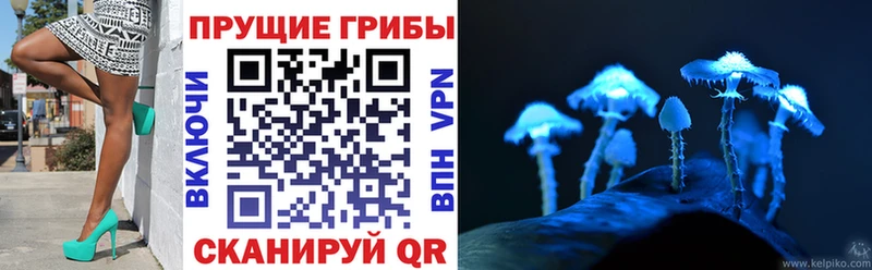 Купить закладки  Ковылкино  Псилоцибиновые грибы мицелий 