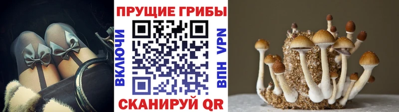 Галлюциногенные грибы Magic Shrooms Ковылкино